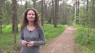 Sulle on kutse Methodraie kursusele!